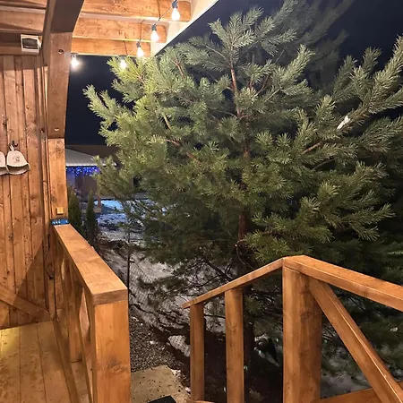 Power Place * Mizhhirya (Transcarpathia)